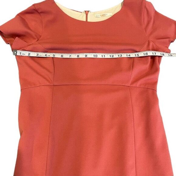 Paper Crown Rose Maternity Sheath Dress Back Zip Ruffle Hem Size Large - Picture 12 of 15